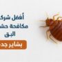 أفضل شركة مكافحة البق
