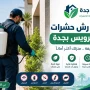 شركة مكافحة حشرات بحي الرويس